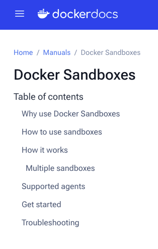 Docker Sandbox